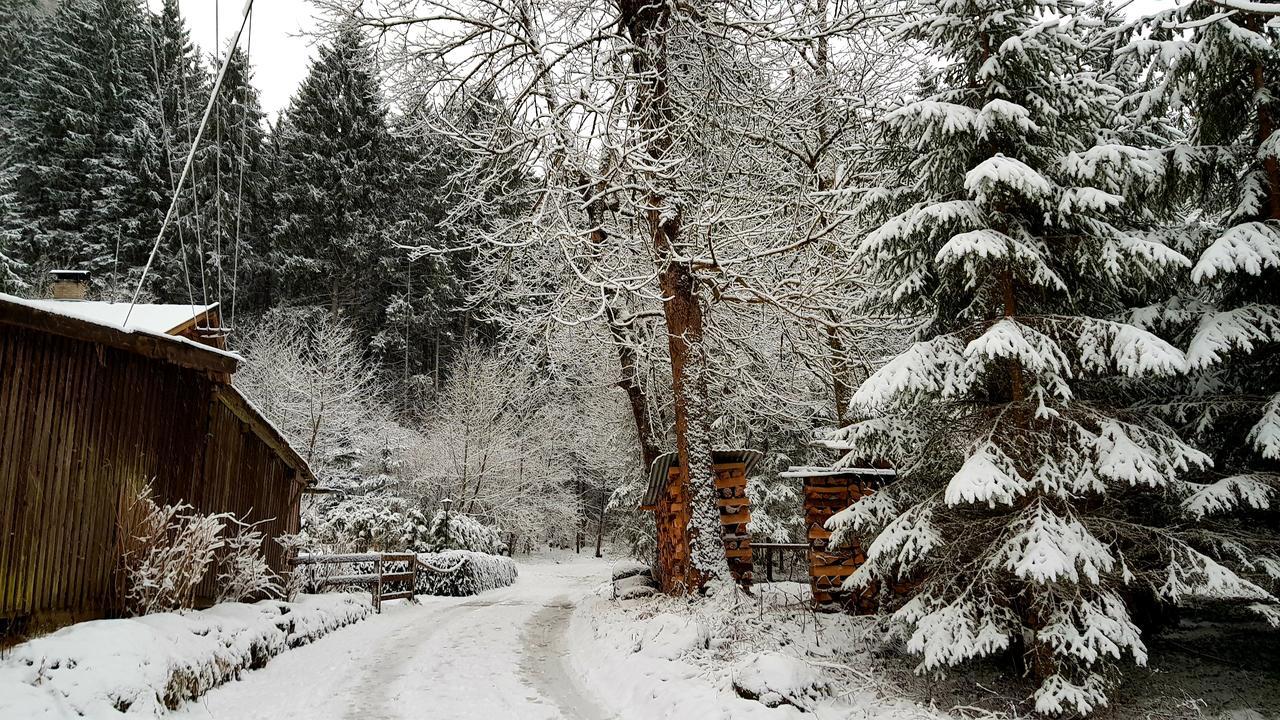 Chalet Amadeus Mayrhofen Zillertal Tirol Exterior foto